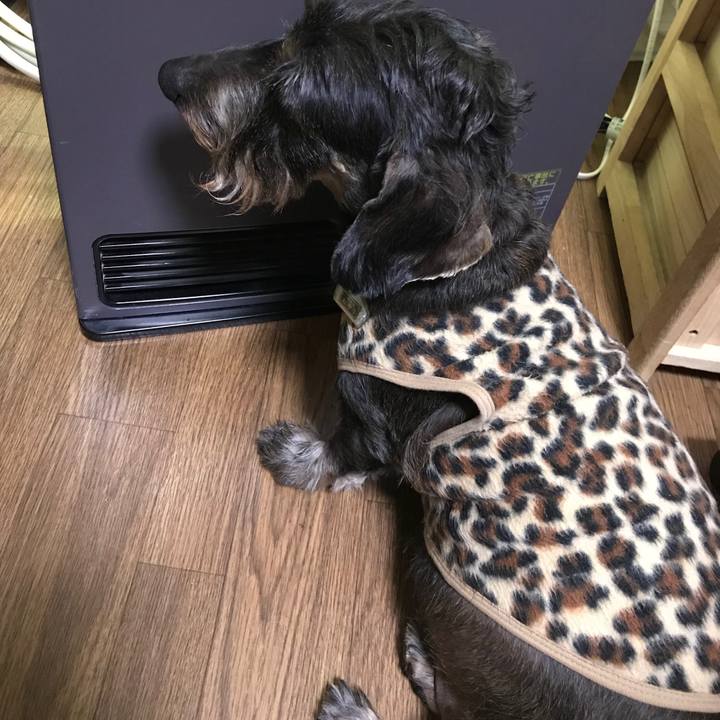 7b54ca75 b612 49a3 b870 7b3e59c3c415 1511873146172