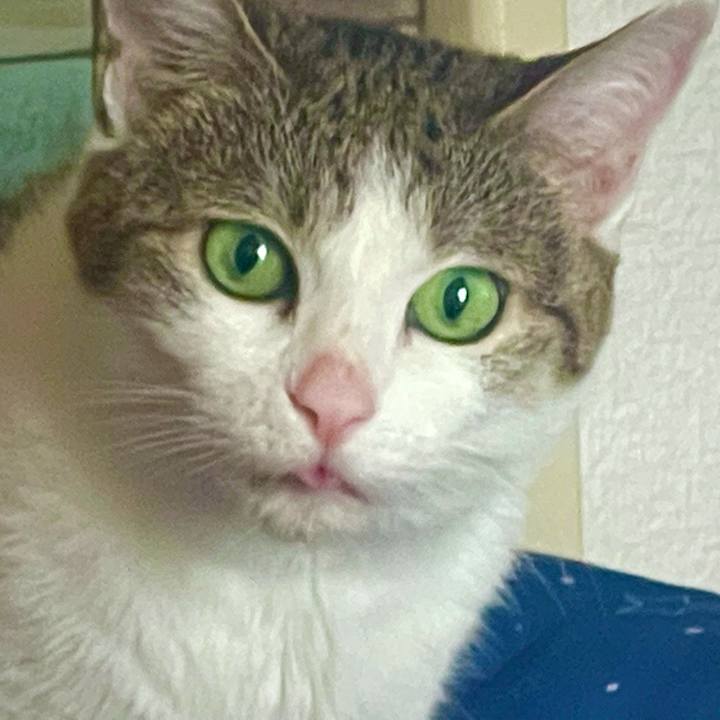 7b54daf0 c2b0 4342 9a87 f0ee7ba7683b 1627771697059