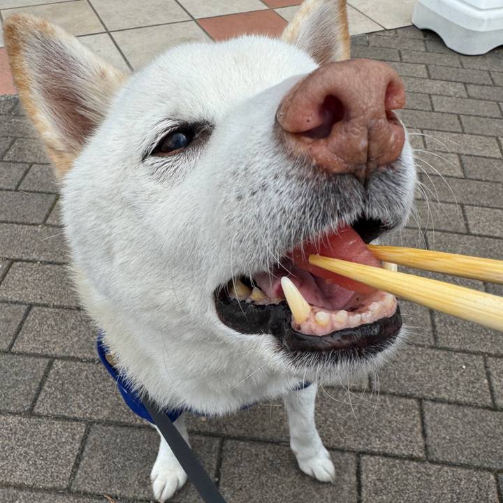 7b54e6e4 440b 4db2 aa5e ffa6d59eb851 1773203588100