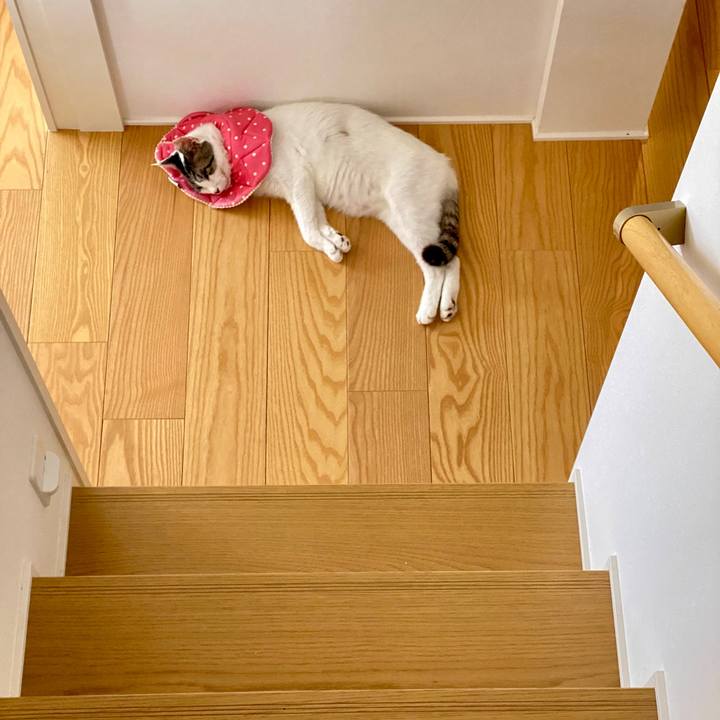 7b54f0ac 905a 4514 88cf 675a0efbb8ff 1658019313672