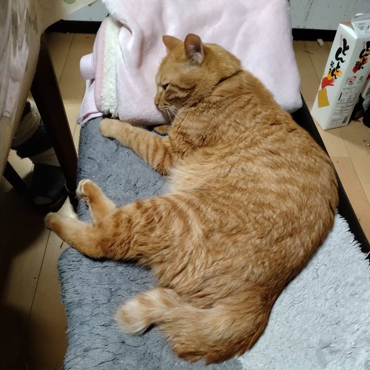 7b550495 b174 447e 9a45 f9e3a2c5ea42 1699444087403