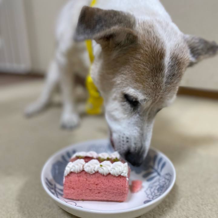 7b551c21 e70c 45bd b5ea 47ac4066d46d 1696763963607