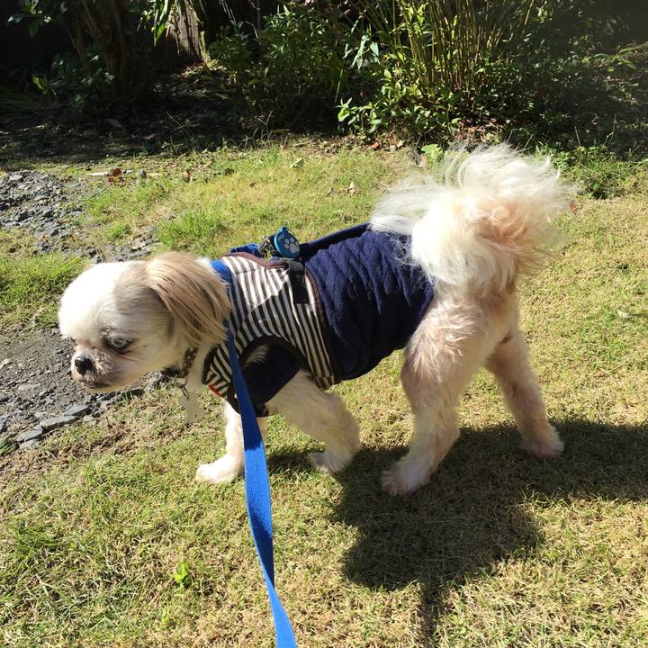 7b552bdf 7ef3 47d6 9b17 80451bee9e23 1634707065657