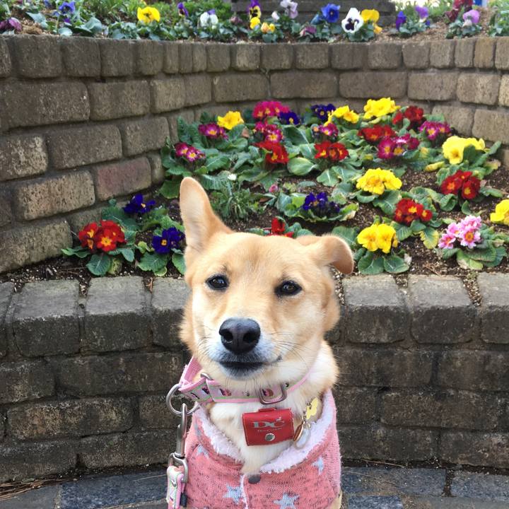 7b553866 70ef 4724 9a63 9b1f217d6900 1516527102634