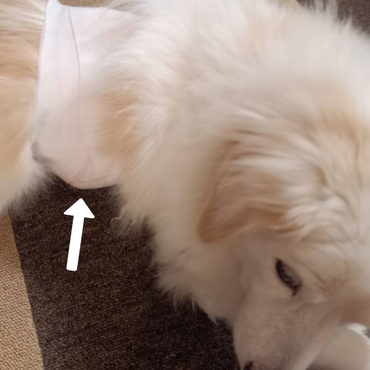 7b5542fa 1746 482a 8291 f076b6861393 1757070392997