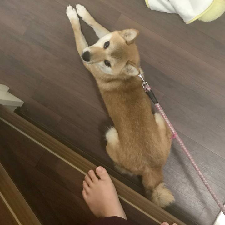 7b55ae16 89b5 4d4c b8a2 8446e8e1b98b 1532703235006