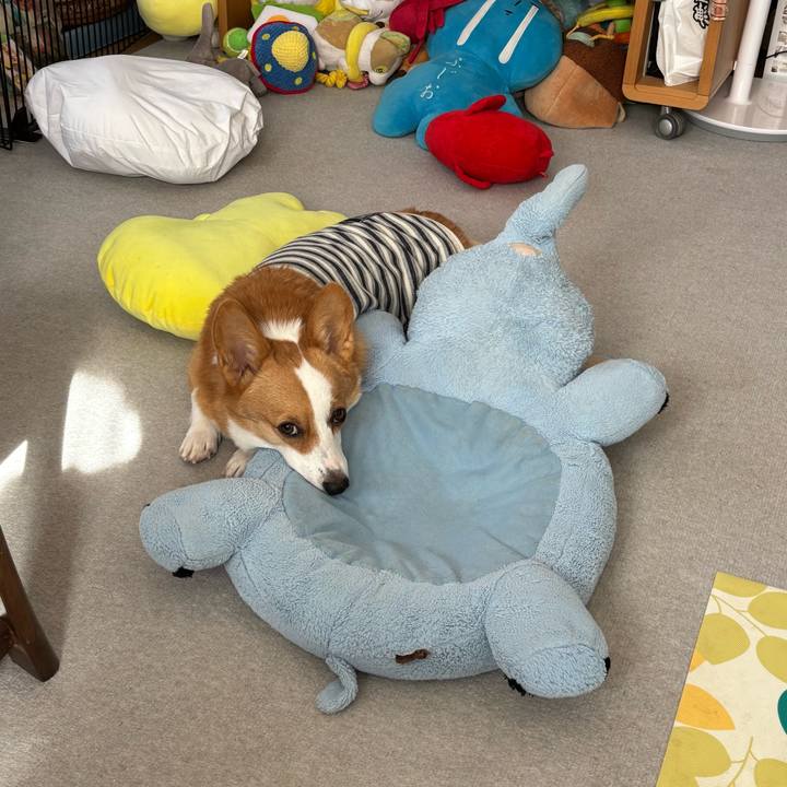 7b55c5c4 8064 4da8 adb3 522fe488f16a 1762226707229