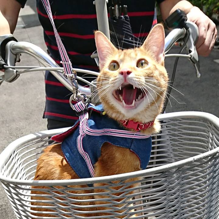 7b55c9c6 04aa 4b7b aec2 ed6fc863d2d3 1523315255894