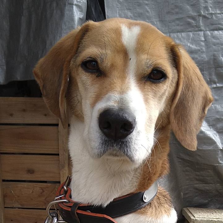 7b55cd28 9d05 4b6c 9982 1ec9f433ff7c 1646749046985