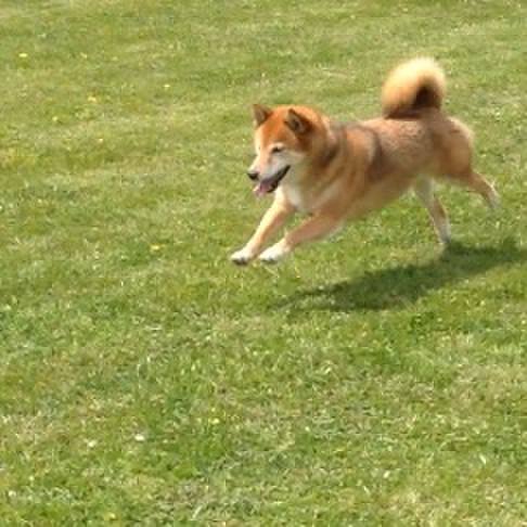 7b560f0e f5d5 44ba 9817 322cebb5382d 1523505341405