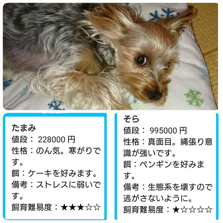 7b565940 3732 43d8 8e17 43b57c8bf0ee 1530009630534