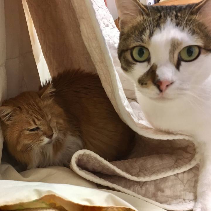 7b57133d 2d64 427c a722 4833720b33a0 1521762760346