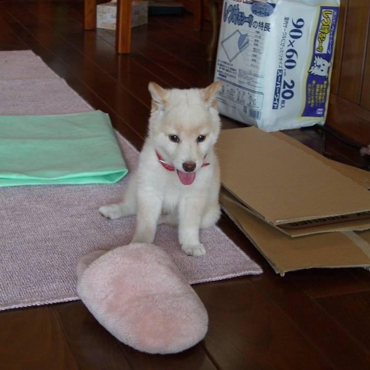 7b5718e5 e1ce 448f ad6d 640aed5a6722 1668518855752