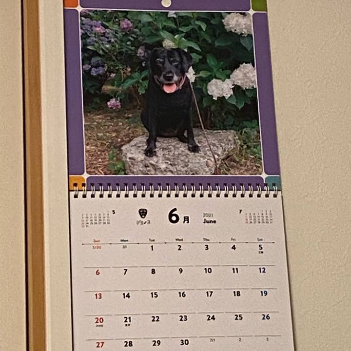 7b573f29 ba80 418c 9041 bfa9cb9477f3 1625053526763