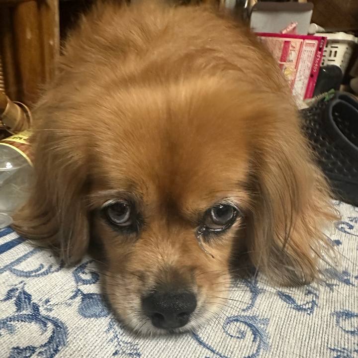 7b5749ac 8be4 4138 8fa8 dfcf5aba2441 1723762968540