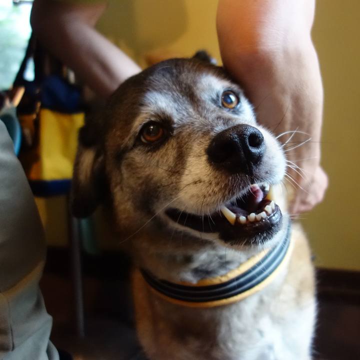 7b575138 7484 4b1e 8fec 96e9469cc467 1563879685782