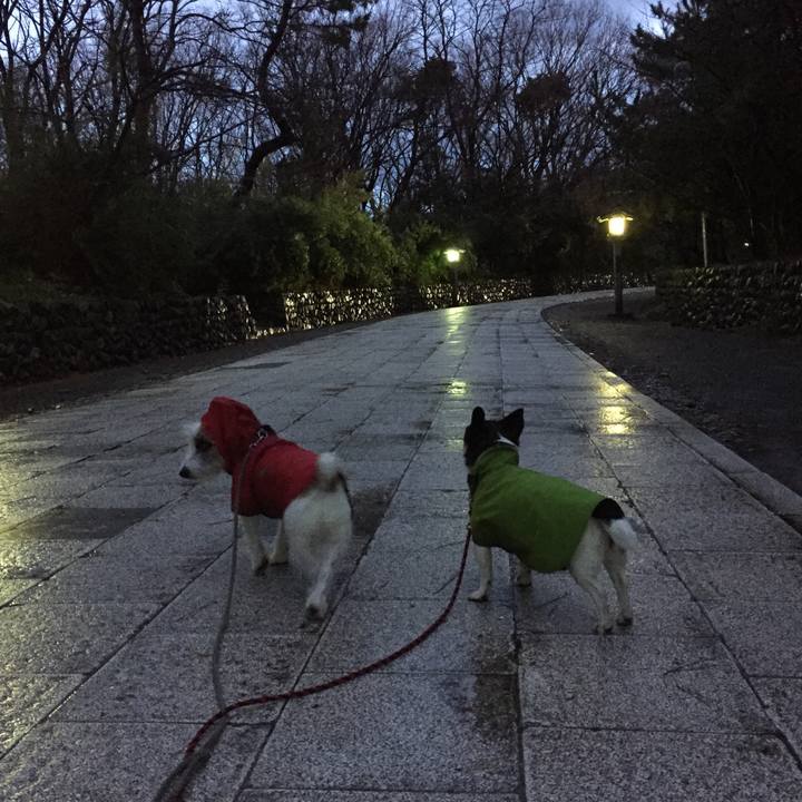 7b576ceb dc40 4dcd 8358 cb82ff27518f 1515460378047