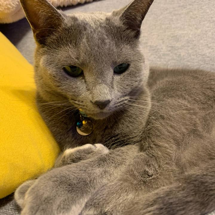 7b57ce56 f42e 4854 a57f 541eb5702d70 1652344866678