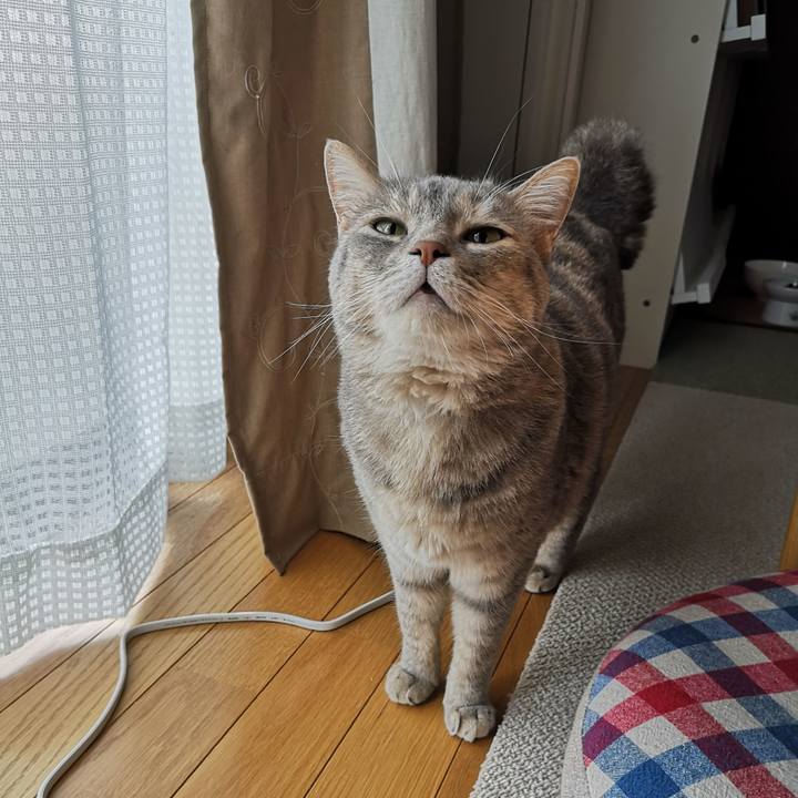 7b581667 6d9f 49db 8bc9 93477a453b96 1593299674354