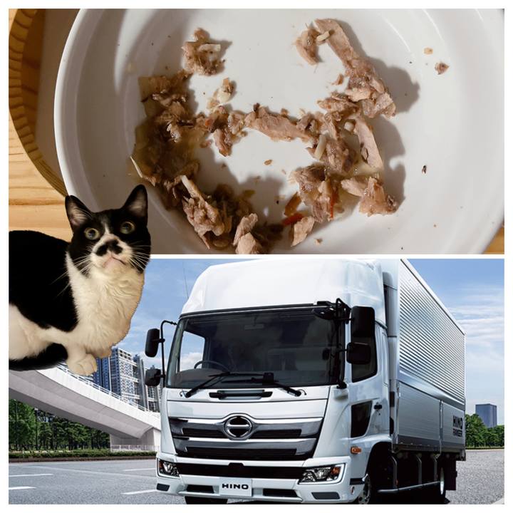 7b582668 3873 40d6 b8a9 4de58237ad36 1700625838931