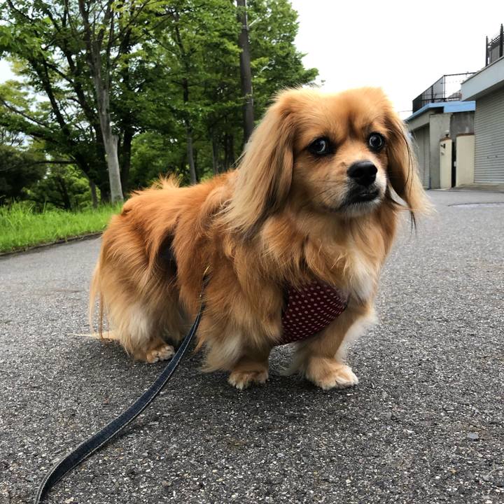 7b583ab8 f379 4413 93e4 5da69b26f28d 1561325182204