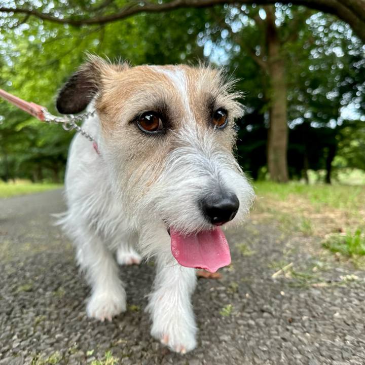 7b58409c afb2 4945 b478 a2e1a206b91b 1687609407286