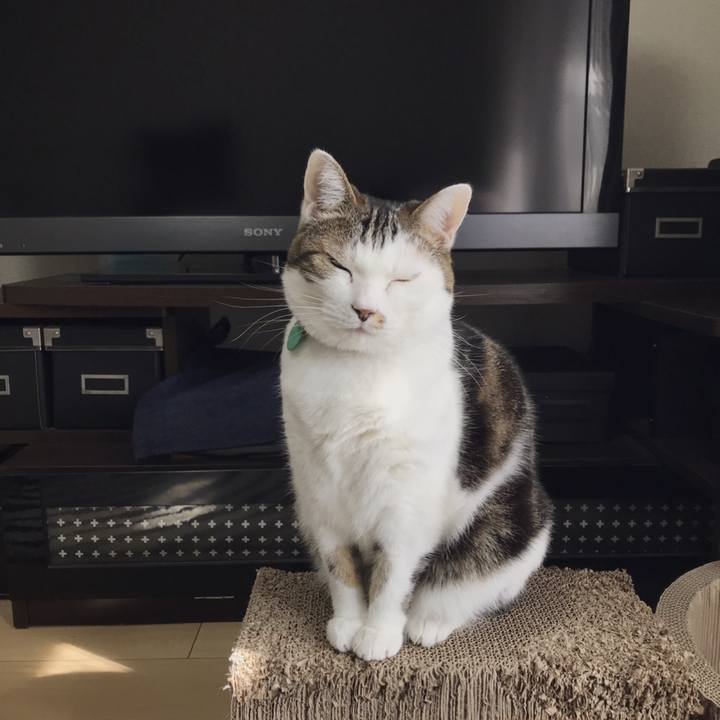 7b5878cf e21c 4eb3 9906 46035de88471 1551168803861