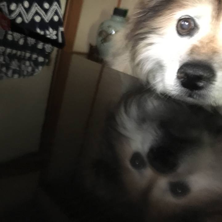 7b58df8f 5ff0 4c91 bb6d 87bd807e5744 1555826610053