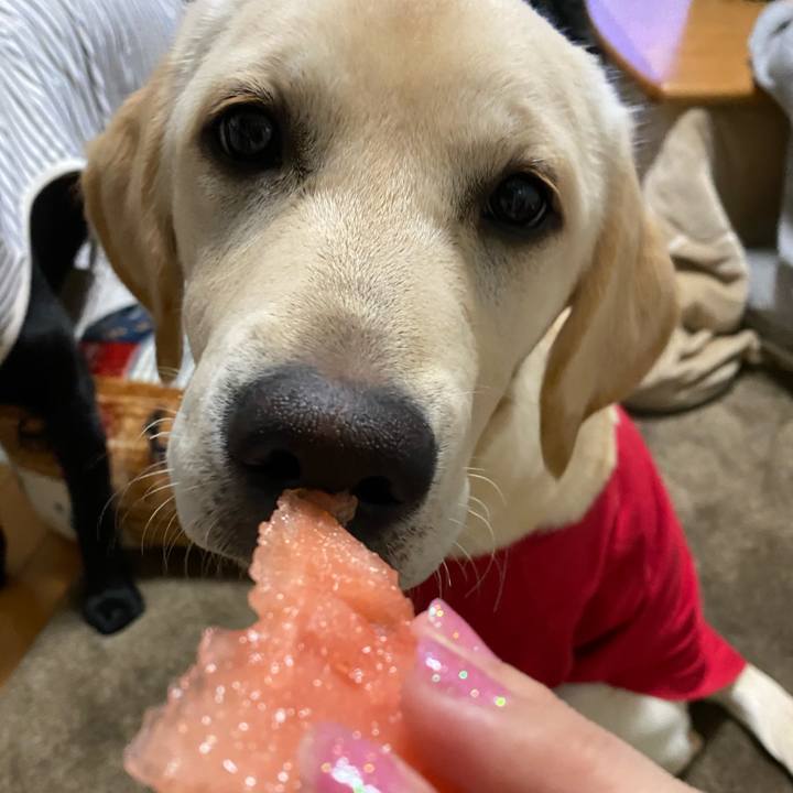 7b58ee50 f128 43d8 aa4e 7eb326dc9d51 1619096548250