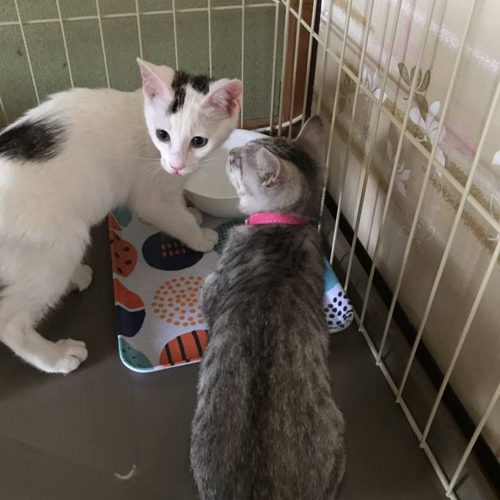 7b592275 d761 42f1 85a8 7c3b7d7e77c4 1563339346337