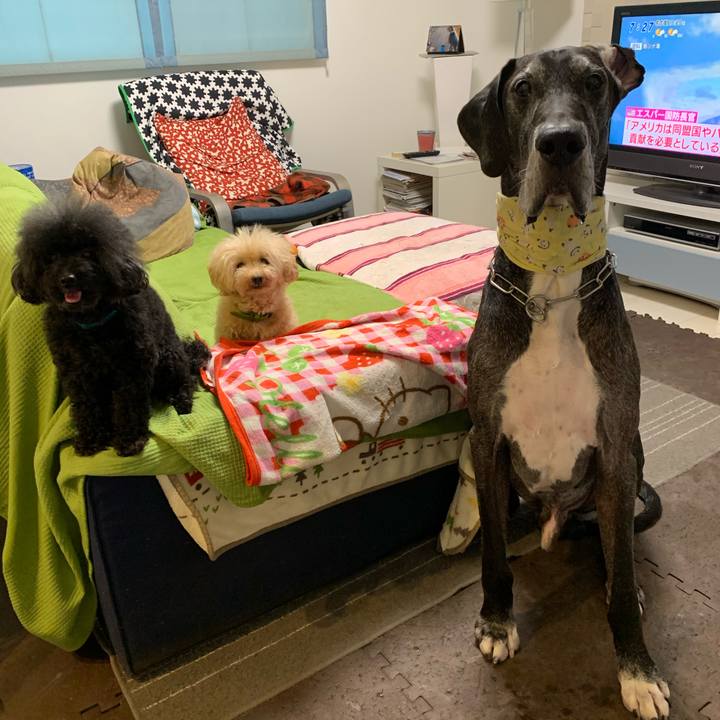 7b59646a 575c 4ef2 9433 0f72be97fe1e 1598567628743