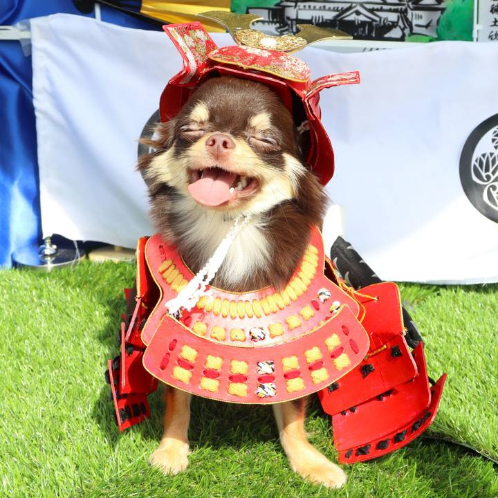 7b59ac42 8b75 4197 be5f 3e87c4af20fd 1761555934452