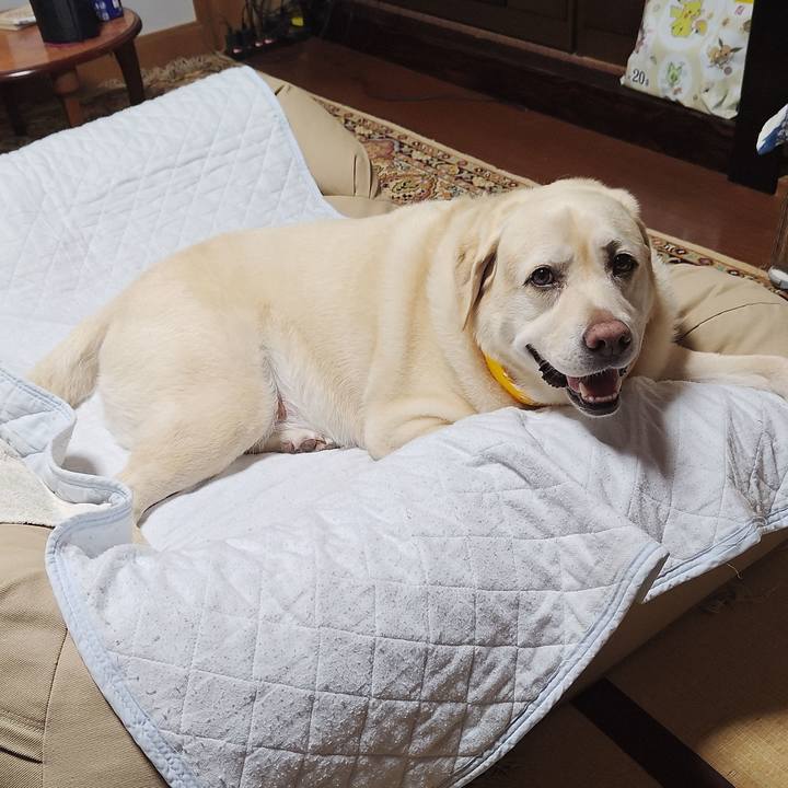 7b59b74e 9625 406d b9e9 38722c66c125 1753789453704