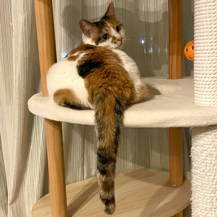 7b59dd0b f7d2 49df 8623 0df7440d61c2 1726582412263