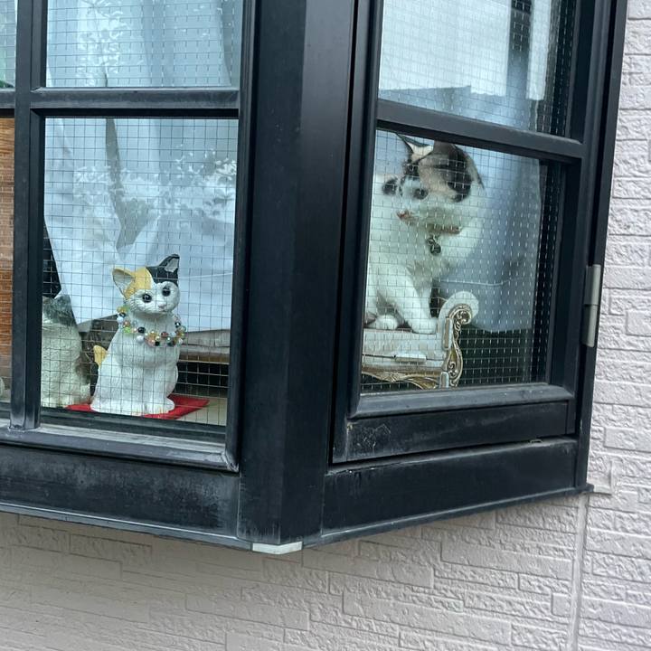 7b59fe52 1749 40fe ac23 3a9388f47ddd 1746962954164