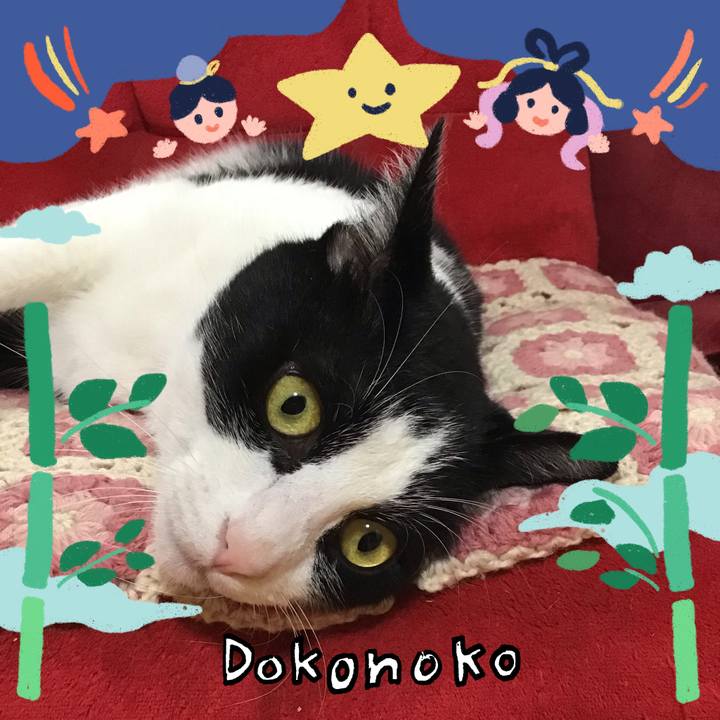 7b5a1ba8 5bd9 4f7a bad8 2ab2069e8ced 1720858381091