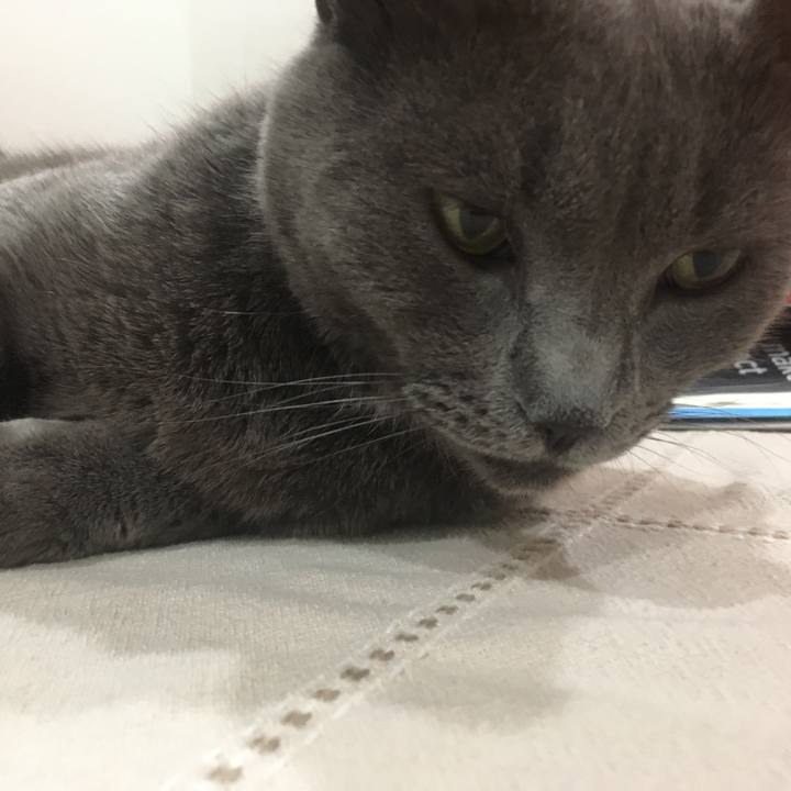 7b5a3d79 8b94 41d6 b115 fd3272f41f3a 1660955092547