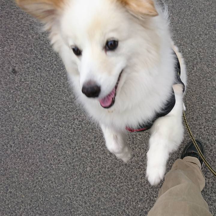 7b5a691c c353 4cf5 b505 6ea8924fcf85 1527455907453