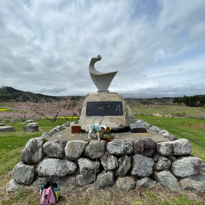 7b5a6ff4 d97e 4203 bf21 27835bb11098 1651034884225