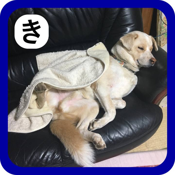 7b5abfff a47b 46d1 a826 eac10e91088f 1514853534761