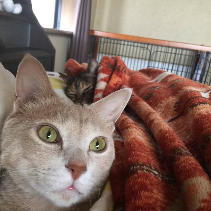 7b5ac789 1e06 4e3a b39b f7a4610a1ef1 1555196764713