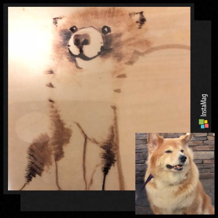 7b5acc41 760c 46b0 a3f3 f4be9b0f6594 1524129433537