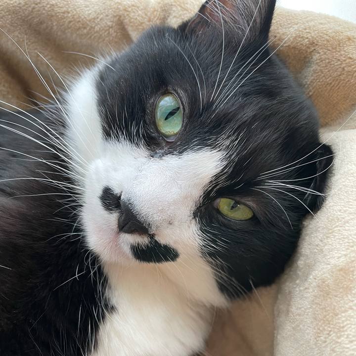 7b5ae135 54ee 48fb 9abb 3a7308afab99 1669608069516