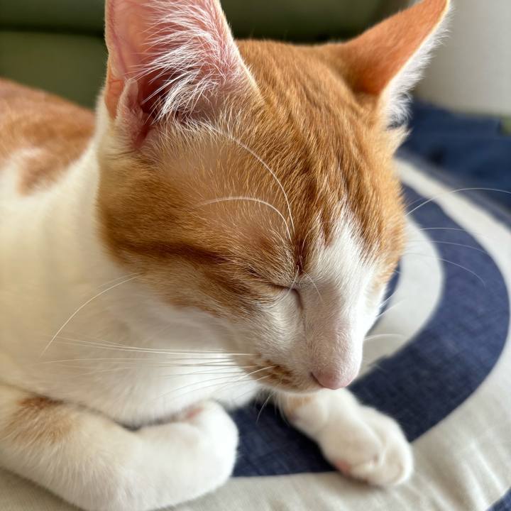 7b5ae6f0 d79c 4afa 94b0 04ec08d82065 1713748266216