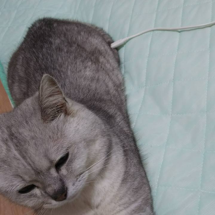 7b5b3e46 1c29 4eda 9c98 7520f9fa6ba0 1527337212663