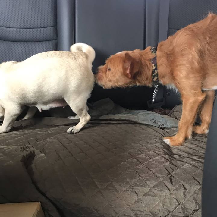 7b5b480b bdd7 4798 b9df eff020404bd2 1568460555933