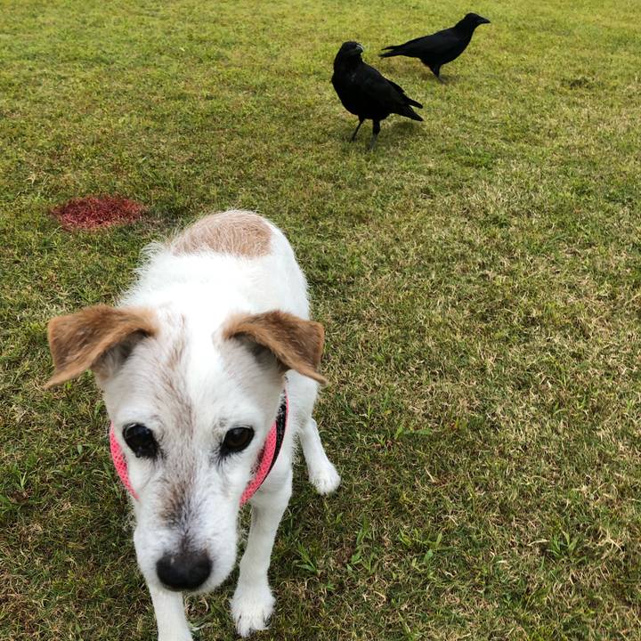 7b5b4b0c f74e 453c b653 022a58076bbe 1665317136788