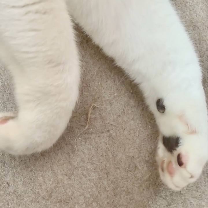 7b5b5e64 bf26 4677 80f6 3a5a308b2085 1747797162122