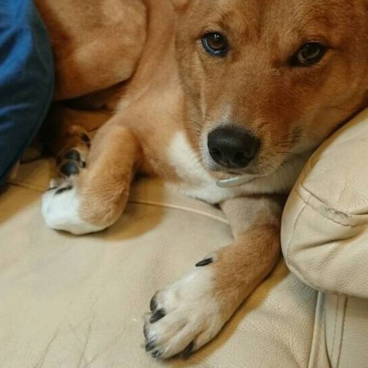 7b5b67d5 ca3b 4cb1 b5f5 c7add204f5b8 1686146377998