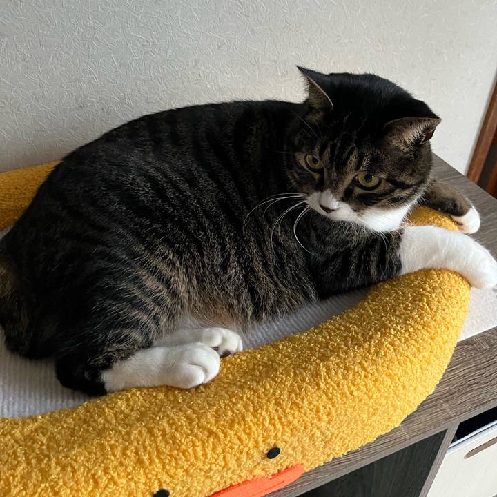 7b5b68fc e1ba 4faa 8644 27d23df714c0 1765150770388